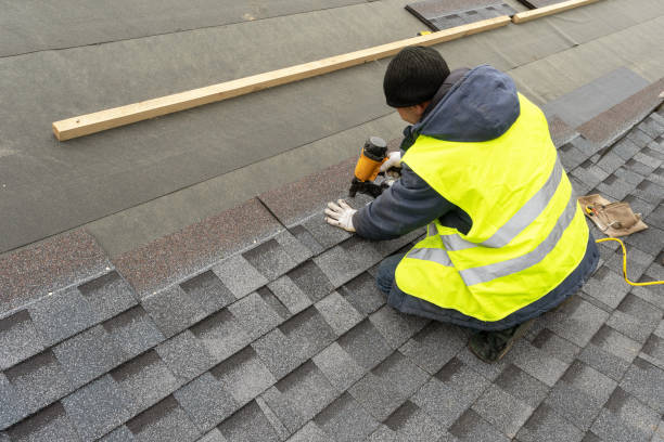 Roof Gutter Cleaning in Magnolia Springs, AL