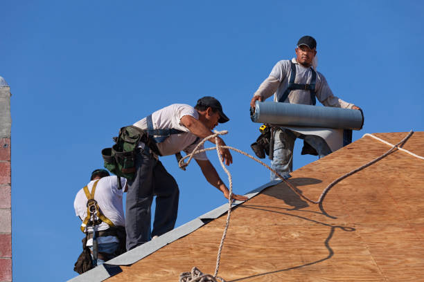 Best Emergency Roof Repair  in Magnolia Springs, AL