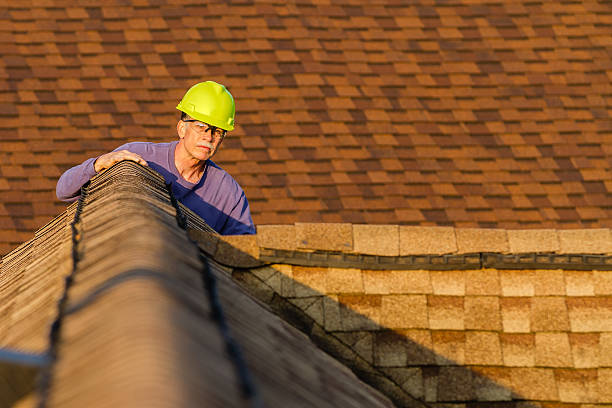 Best Metal Roofing Contractor  in Magnolia Springs, AL